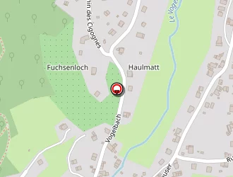 Carte de Schneider Liliane à Saint-amarin