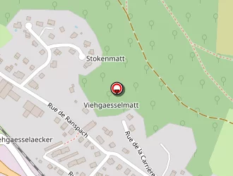 Carte de Grasser Jocelyne à Saint-amarin