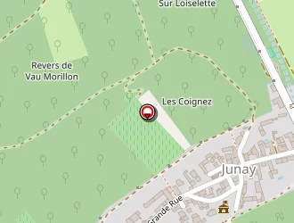 Carte de Mairie à Junay