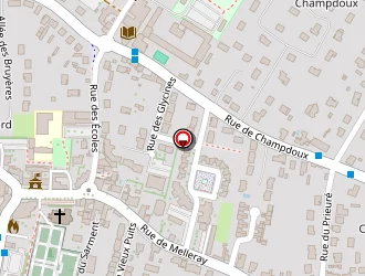 Carte de Les Delphins à Saint-denis-en-val