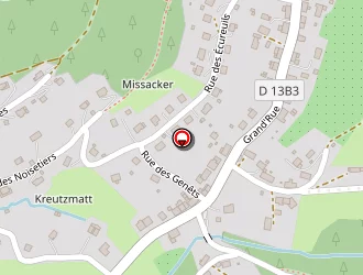 Carte de Ott Viviane à Husseren-wesserling