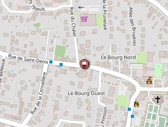 Carte de Abeille Xavier à Saint-denis-en-val