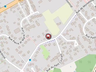 Carte de I.c.s. à Chapelle-saint-mesmin (la)