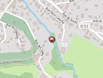 Carte de Schilling Fabienne à Jungholtz