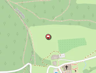 Carte de Hôtel & Spa Les Violettes à Jungholtz