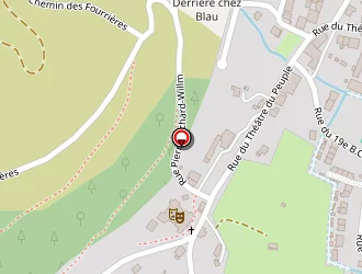 Carte de Bigaut Gérard à Bussang