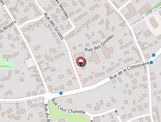 Carte de Viau Joël à Orléans