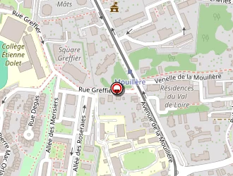 Carte de Jaffredo Brice à Orléans