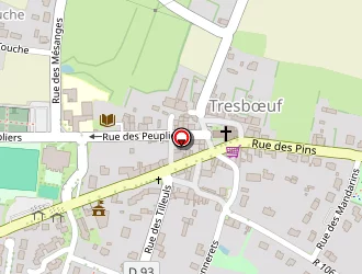 Carte de Ventroux Ghislaine à Tresbœuf