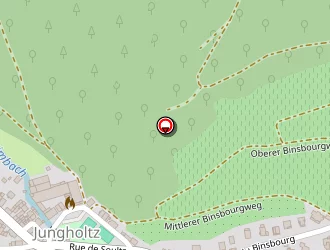 Carte de Gh Plâtre à Jungholtz