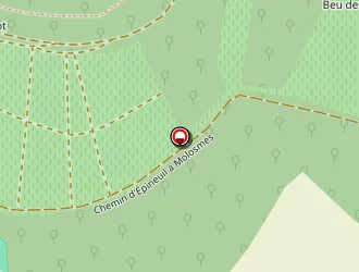 Carte de Boudard-côté Céline à Molosmes