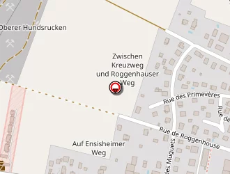 Carte de Peter Romana à Blodelsheim