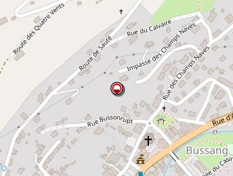 Carte de Foissey Bruno à Bussang