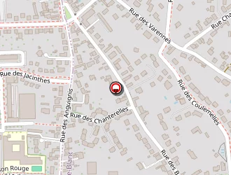 Carte de Synapses à Saint-jean-le-blanc