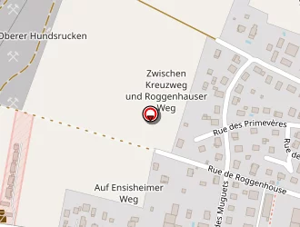 Carte de Orgaer Thomas à Blodelsheim