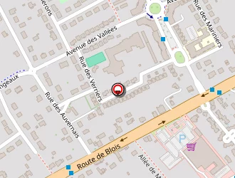 Carte de Intermarché à Chapelle-saint-mesmin (la)