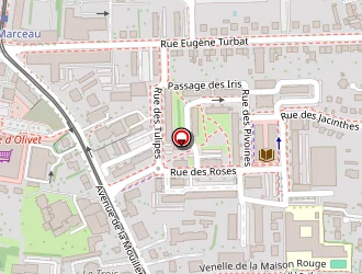 Carte de Davy Emmanuelle à Orléans