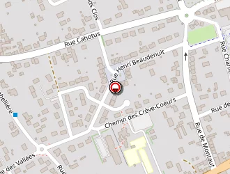 Carte de Info100t à Chapelle-saint-mesmin (la)