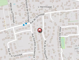 Carte de Seigle Eric à Saint-pryvé-saint-mesmin