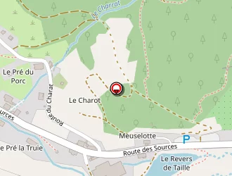 Carte de Néotec Plastique à Bussang