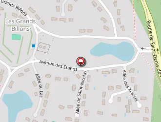 Carte de Poirier Stéphane à Donnery