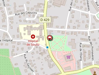 Carte de Bertelli Rosa à Soultz