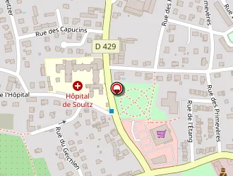 Carte de Zinderstein Roland à Soultz