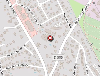 Carte de Mnh à Soultz