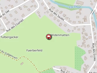 Carte de Godefroy Jennifer à Fellering