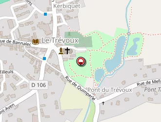 Carte de Nerzic Bruno à Trévoux (le)