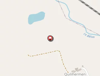 Carte de Celtic Pizza à Trévoux (le)