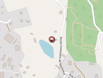 Carte de New Tech Plastique à Ramonchamp