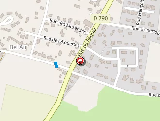 Carte de Leliévres Rapide Services à Tréméven