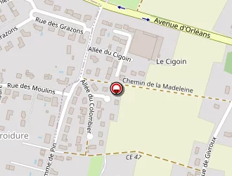 Carte de Blanchet Chagourin à Chécy