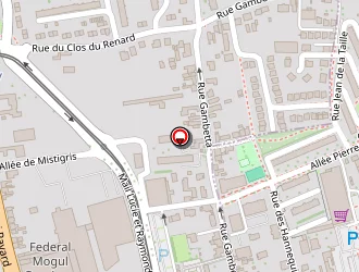 Carte de Souchard à Saint-jean-de-la-ruelle