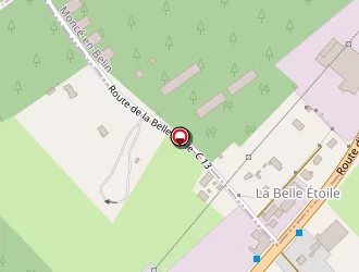 Carte de Besnardeau Sébastien à Guécélard