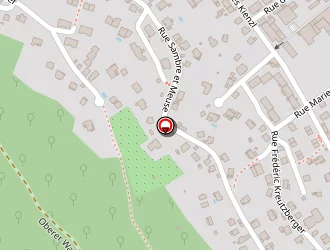 Carte de Galati Anthony à Guebwiller