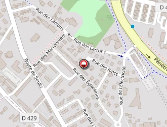 Carte de Reibel Francis à Guebwiller