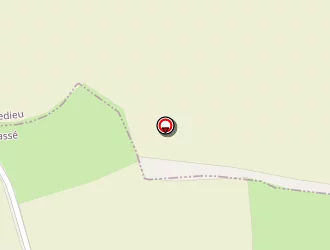 Carte de Damoiseaux Virginie à Tassé