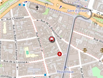 Carte de Buzznative à Orléans