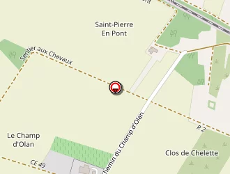 Carte de Checy Pneumatiques à Chécy