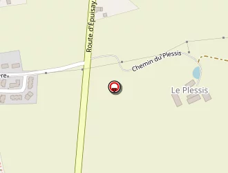 Carte de Chez Nelly à Épuisay