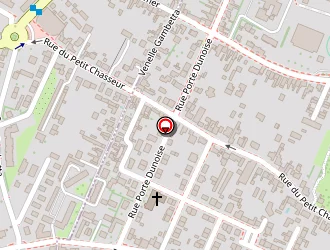 Carte de Rue Du Store à Orléans