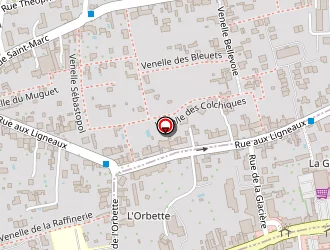 Carte de Leader Moto à Orléans