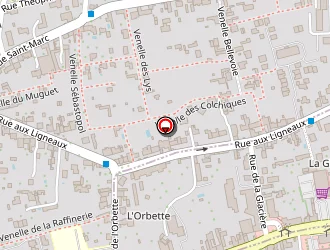 Carte de O Et M Centre à Orléans