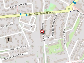 Carte de Amorim Martins à Saint-jean-de-la-ruelle