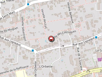 Carte de Vu'nettes à Saint-jean-de-braye