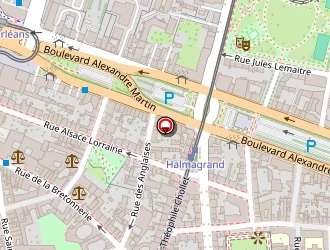 Carte de Santailler Eric à Orléans