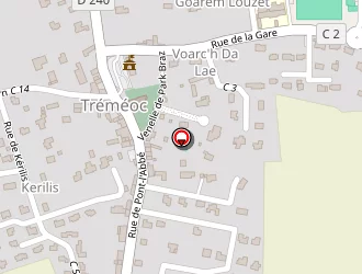 Carte de Le Roy Fabienne à Tréméoc