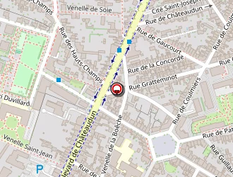 Carte de Savoire Sylviane à Orléans